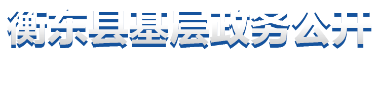 衡東縣基層政務(wù)公開